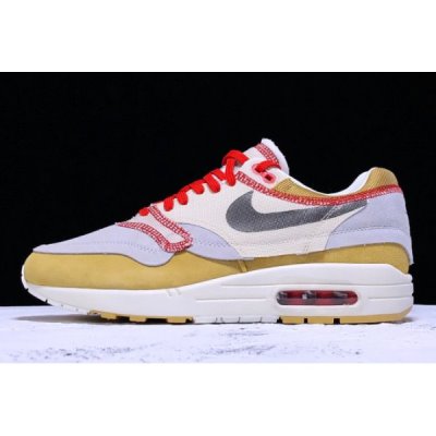 Nike Erkek Air Max 1 Premium Se Renkli Koşu Ayakkabısı Türkiye - YMH7V9LK